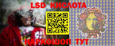 дмт Новокубанск