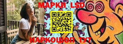 a pvp Новодвинск
