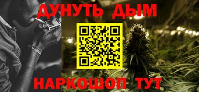 дмт Новокубанск