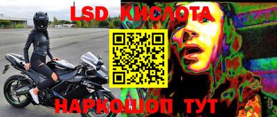 a pvp Новодвинск