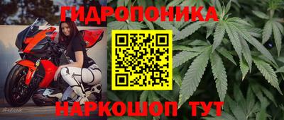 a pvp Новодвинск