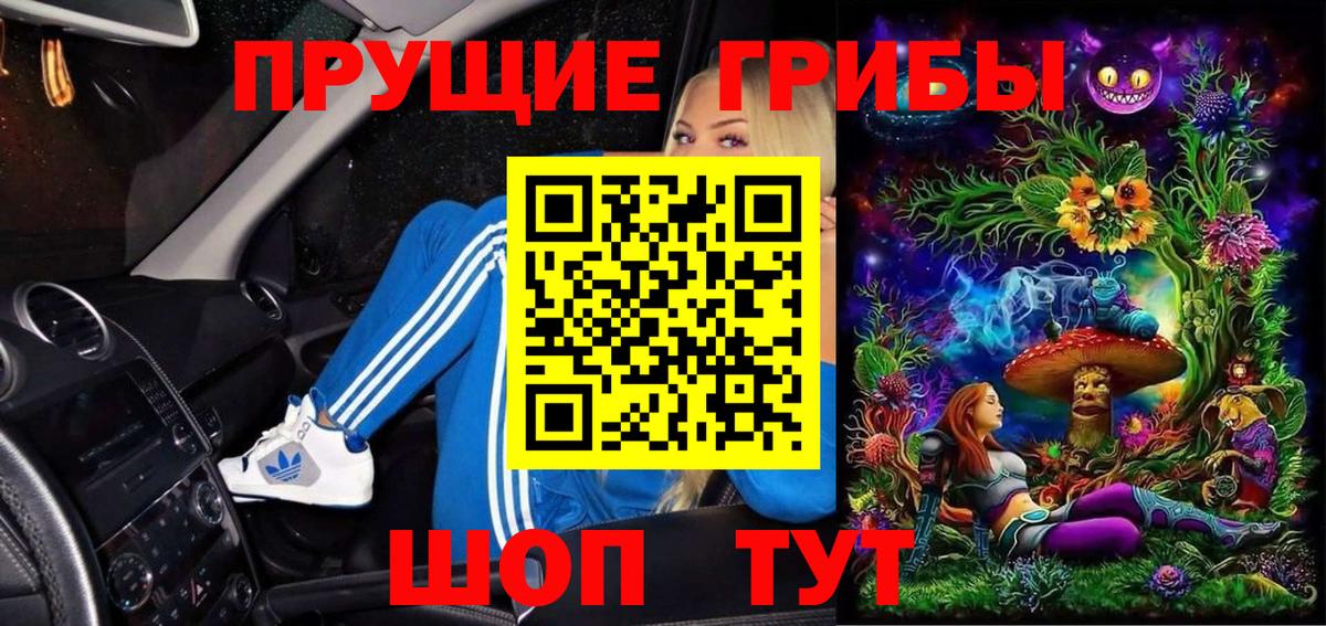 Псилоцибиновые грибы Psilocybe Углич